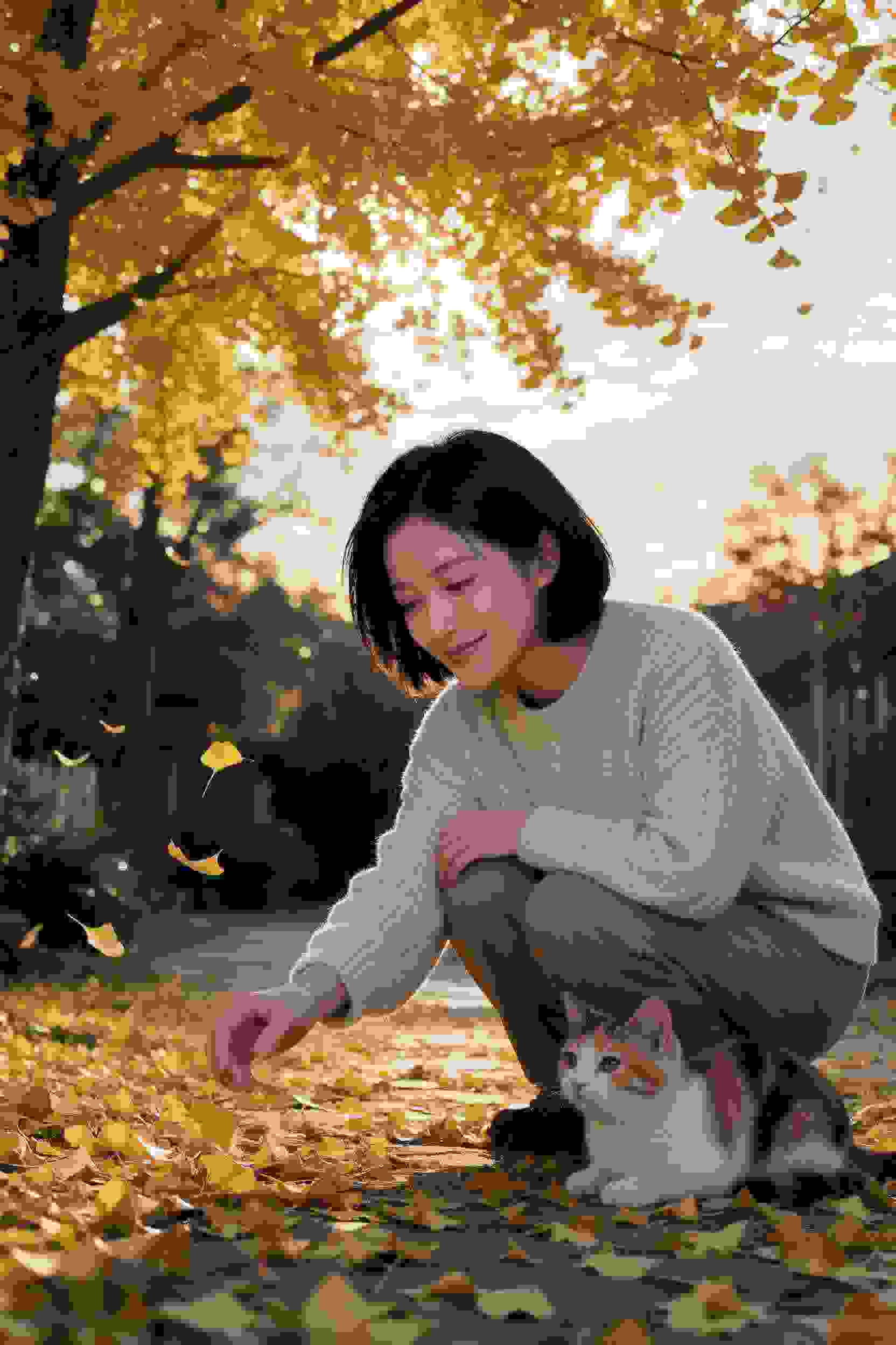异世冒险